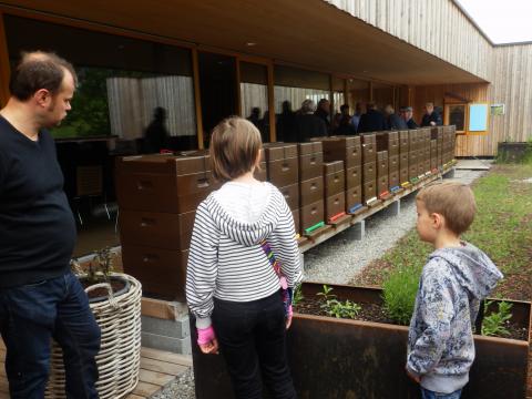 Gross und klein interessierten sich für Bienhaltung bei der Eröffnung der Imkerschule. 