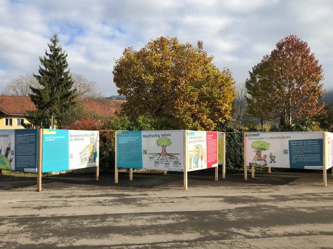 Ohne die bisherigen Holzstapel präsentiert sich die Ausstellung "Neue Nachbarschaft" jetzt in kompakter Form.