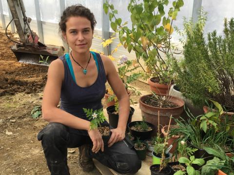 Teigwaren, Gemüse und mehr: Der Markt der Erde holt auch die Produzent*innen vor den Vorhang. Foto: Dorner Hof