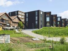 Im Hagmann-Areal gibt es Platz für 120 Menschen, Gewerbe, Gärten und mehr. Foto: Georg Aerni