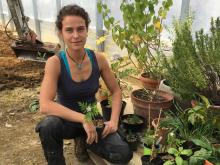Teigwaren, Gemüse und mehr: Der Markt der Erde holt auch die Produzent*innen vor den Vorhang. Foto: Dorner Hof